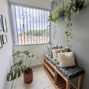 splentodore-planta-52m--10